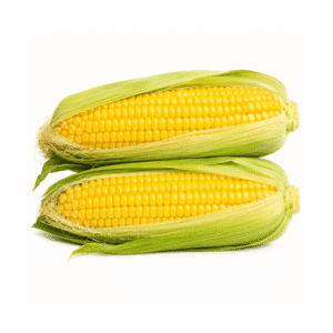 Fresh Corn x5