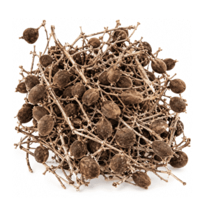 Fresh Velvet Tamarind Fruit (Awin) 200g
